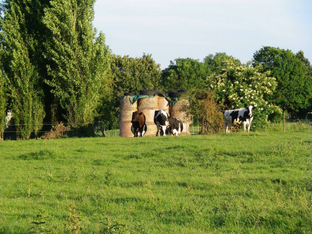 ferme-de-l-argilière