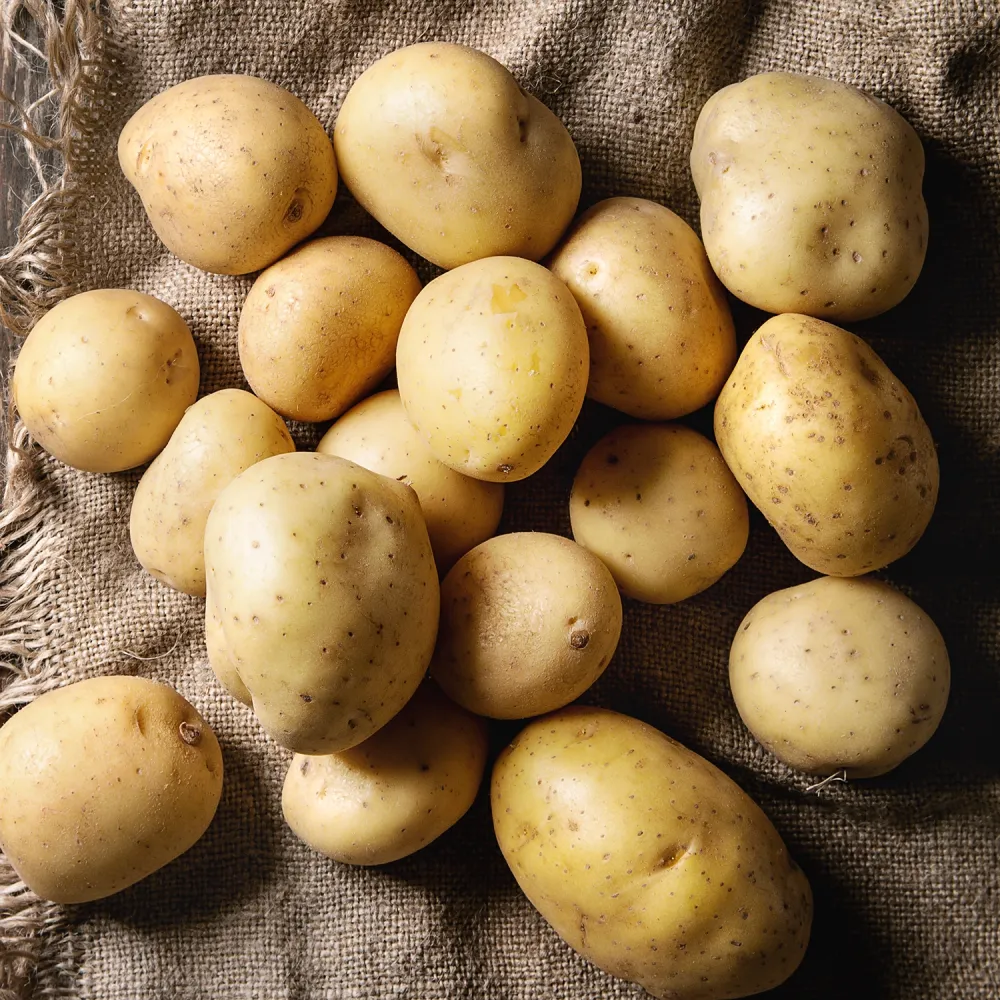 producteur-pomme-de-terre