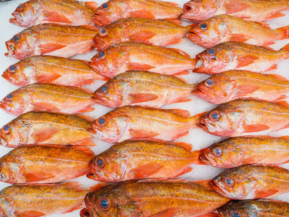 traiteur-deprt-poisson